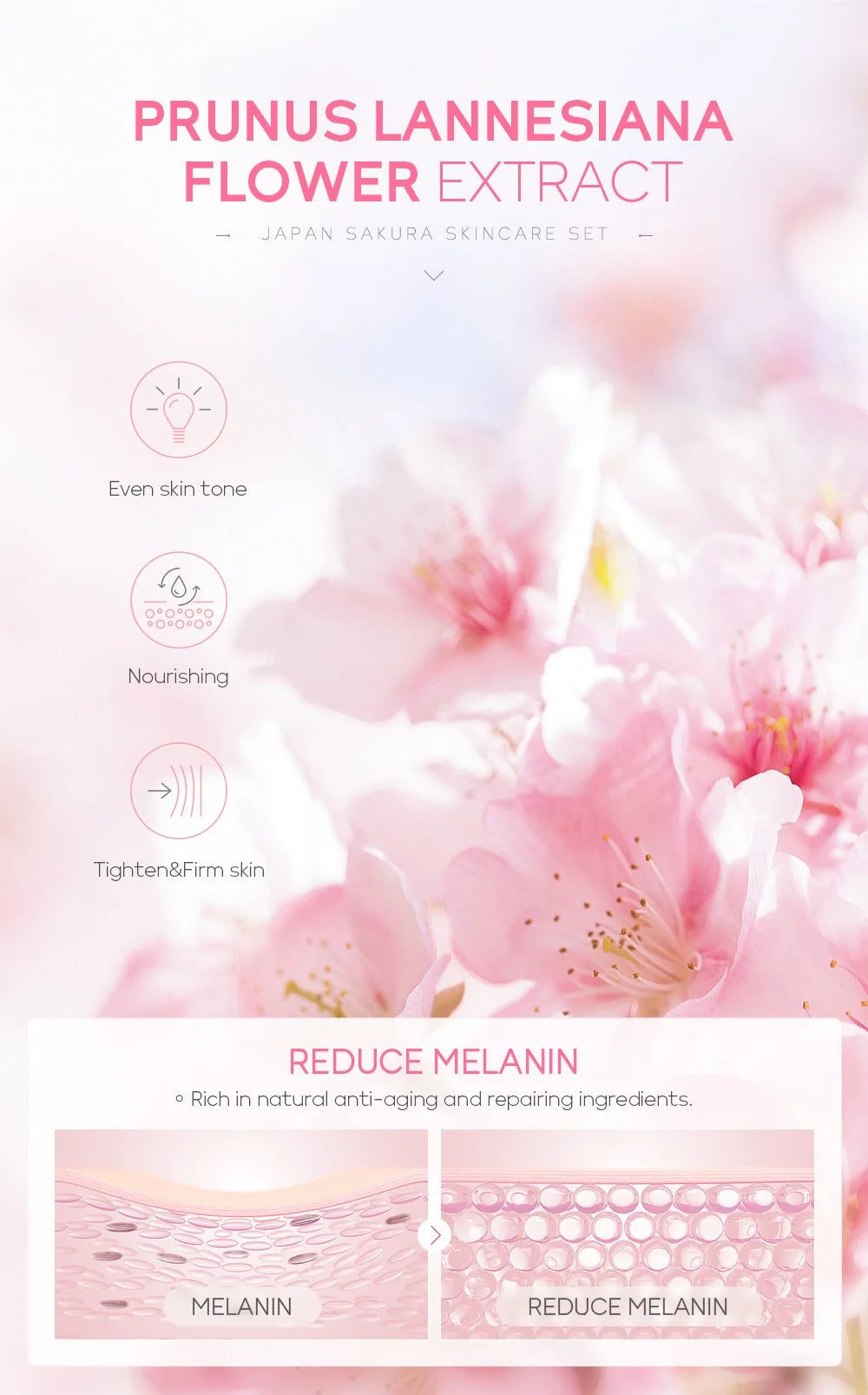 Sakura Sweet Kiss Ritual Set